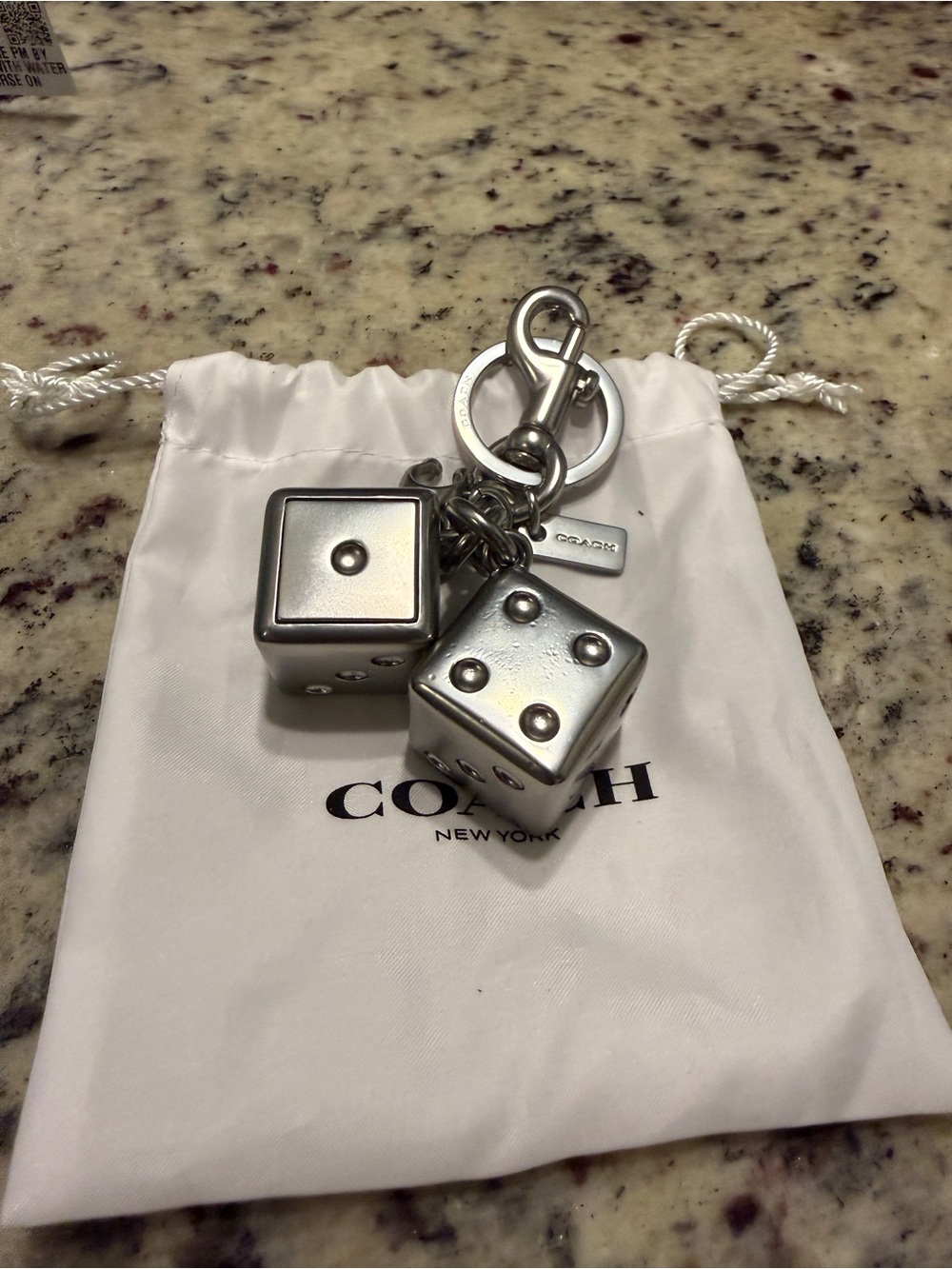 Coach Silver Dice